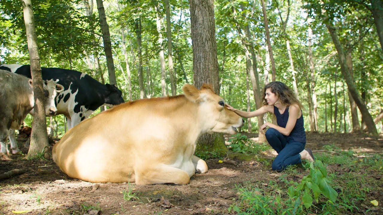 Encompass: Bringing Racial Equality to the Farmed Animal Rights Movement