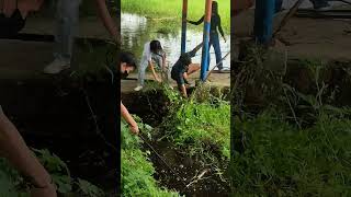 CLEAN -UP  #viral #shorts #cleanup #cleaning #volunteer