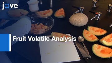 Fruit Volatile Analysis Using Electronic Nose l Protocol Preview