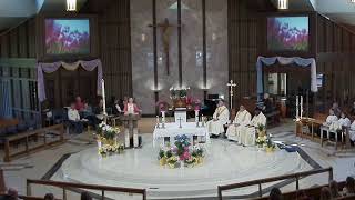 Sunday 830 am Mass