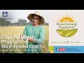 Crop Nutrition Program in Rice Production