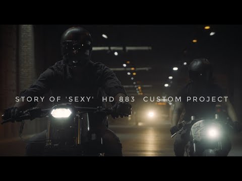 The story of 'Sexy' :  Harley Davidson IRON 883 l Custom project l Motokraft Customs X Pathpavers - video from Pathpavers