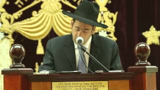 Aaron Wolfson Part 1 on Zev Wolfson