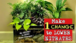 Make 1 change to lower nitrates NOW- my SECRET to ❌ZERO Water Changes ❌