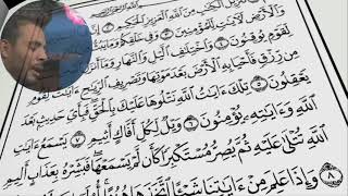 الجاثية كما لم تُتْلَ من قبل | أداء مهيب للشيخ اللاهوني مع المصحف المرتل