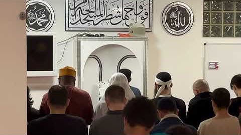 ماتيسر من سورة الحج الليلة 16 برواية الدوري عن الامام الكسائي مسجد الإخلاص ألمانيا شتوتغارت