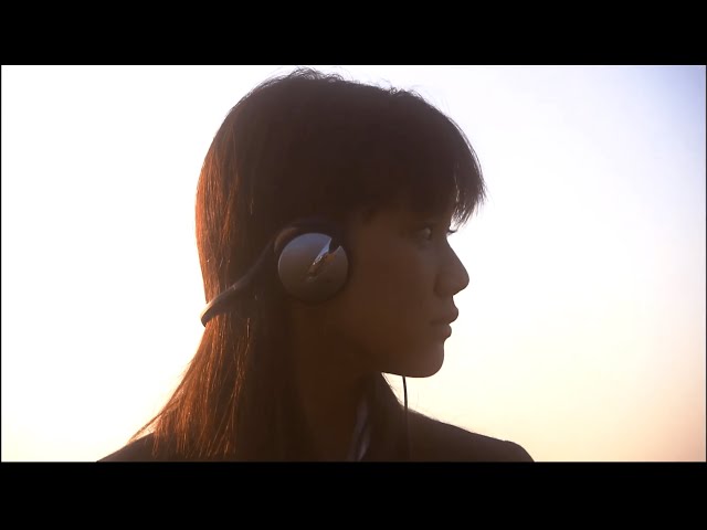 ヘッドホン Headphones Used All About Lily ChouChou Headphones Used All About Lily ChouChou - メルカリ