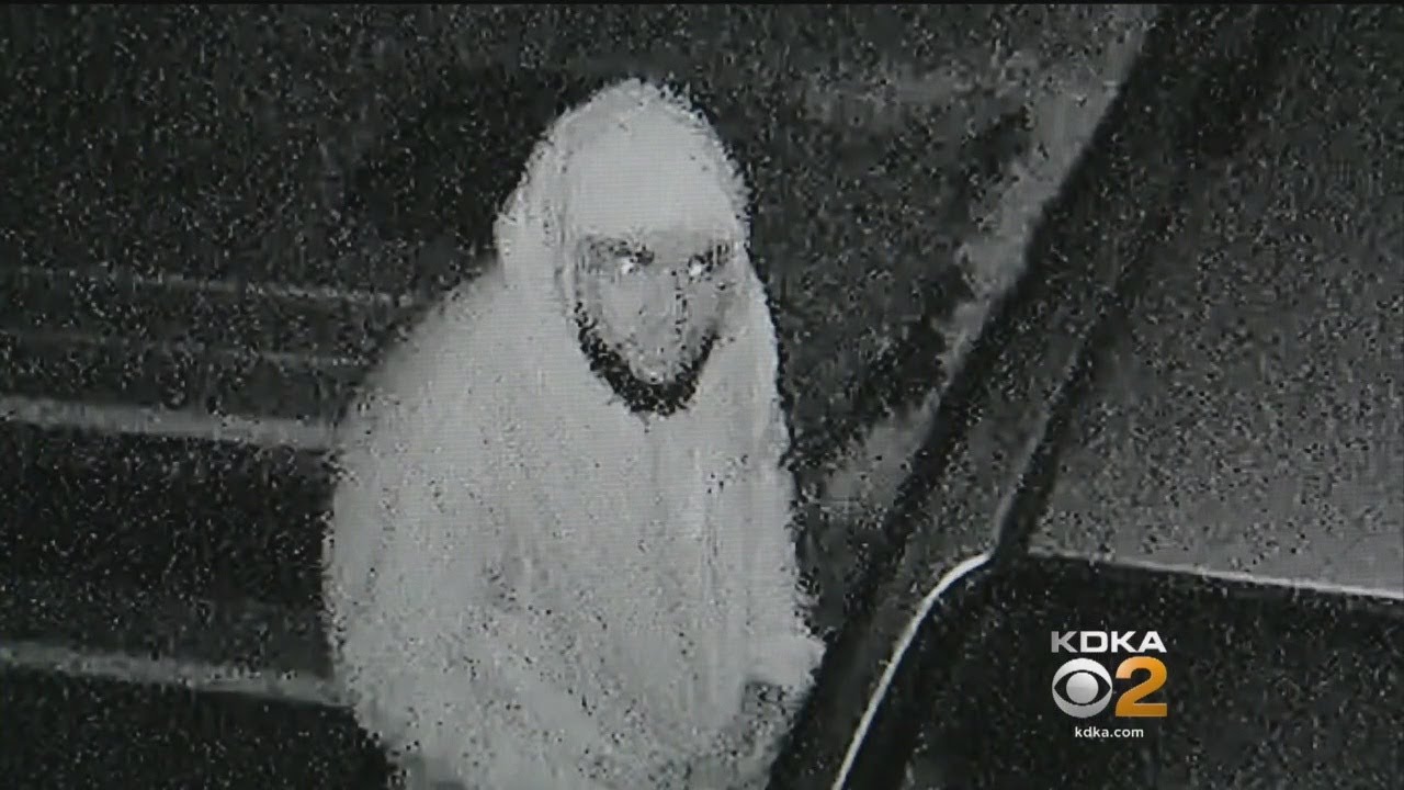 Thief Caught On Camera Breaking Into Car In Union Twp. - YouTube