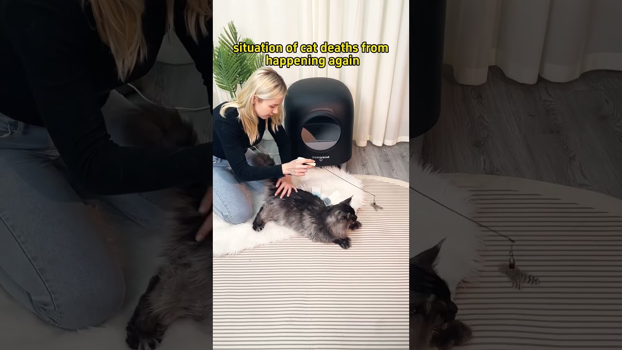 Monitor Your Cat’s Weight with the Geoorood App! 