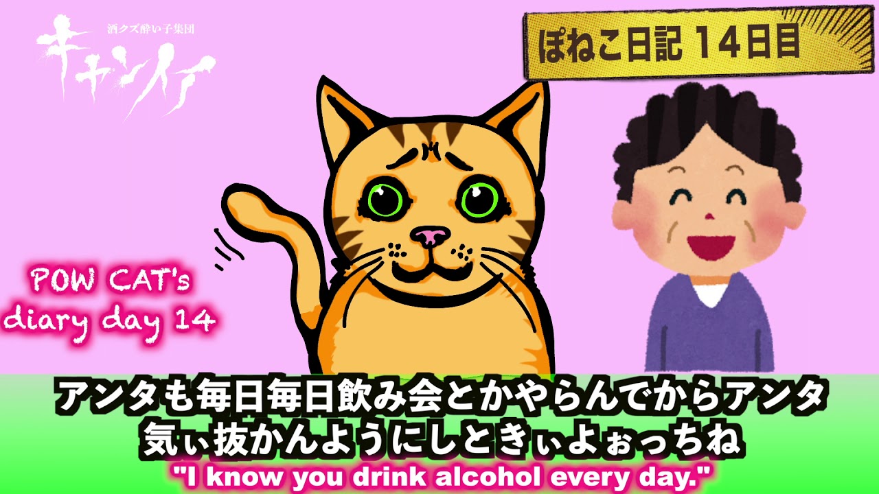 ぽねこ日記14日目 福岡弁を話す猫 Pow Cat S Diary Day 14 Cantoy A Cat That Speaks The Fukuoka Dialect Youtube
