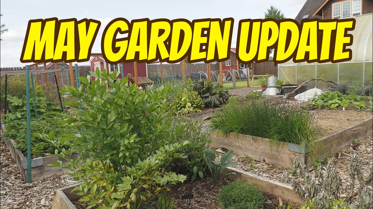 May Garden Update - YouTube