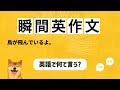 【瞬間英作文 150文+】「鳥が飛んでいるよ。」など