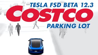 tesla fsd 12.3 - the ultimate test, costco parking on a saturday