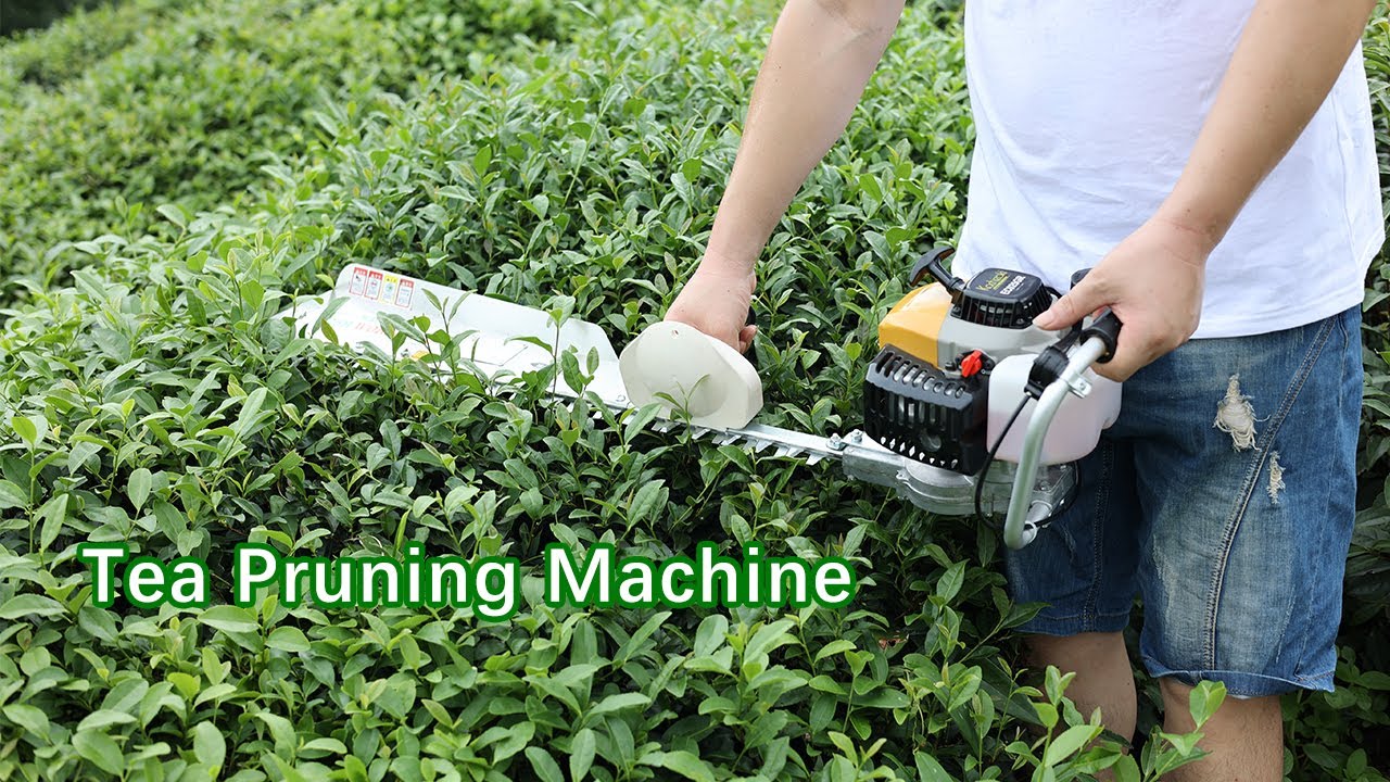 CHAMA Brand one man operated tea skiffing machine ,tea pruning machine