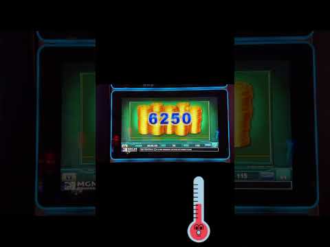 It’s been YEARS since we have had a full screen of piggies!!! #casino  #slotmachine