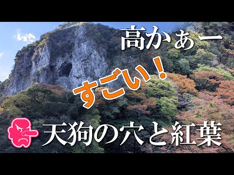 【熊本】天狗岩と紅葉　編　（ Vol.352 ）／これが天狗が住んでいた大岩の穴！？【4K空撮】