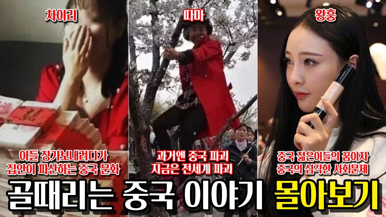 중국 어이없는 이야기 몰아보기 [따마, 차이리, 왕훙]