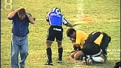 Swarming Killer Bees in Costa Rica