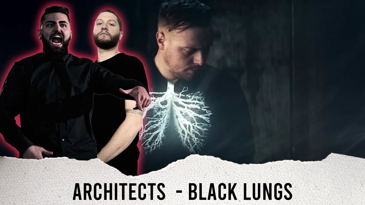 Metal Musician Reacts to Architects | Black Lungs | - YouTube