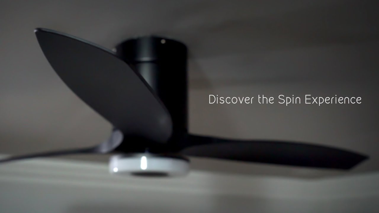 How Fast Does A Ceiling Fan Spin Mph? New