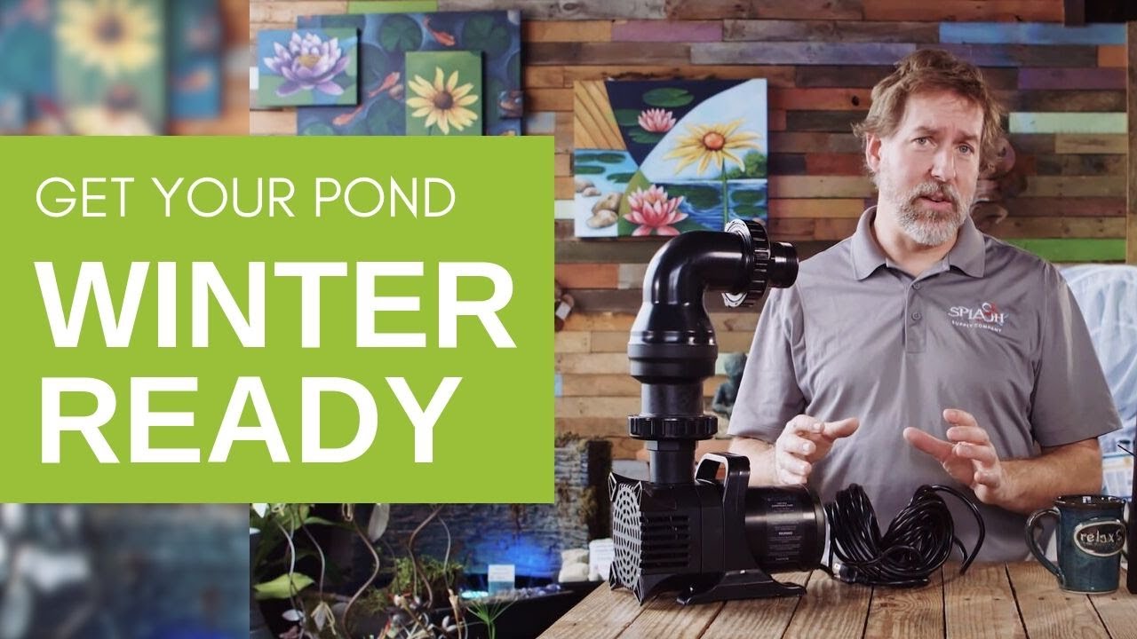 How to Winterize Your Pond - YouTube