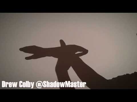 Orca Whale Hand Shadow Tutorial