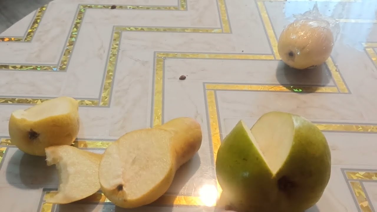 Какая груша вкуснее. дегустация зимних сортов.
