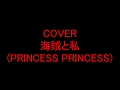 海賊と私(PRINCESS PRINCESS)を+4&オク下で歌ってみた