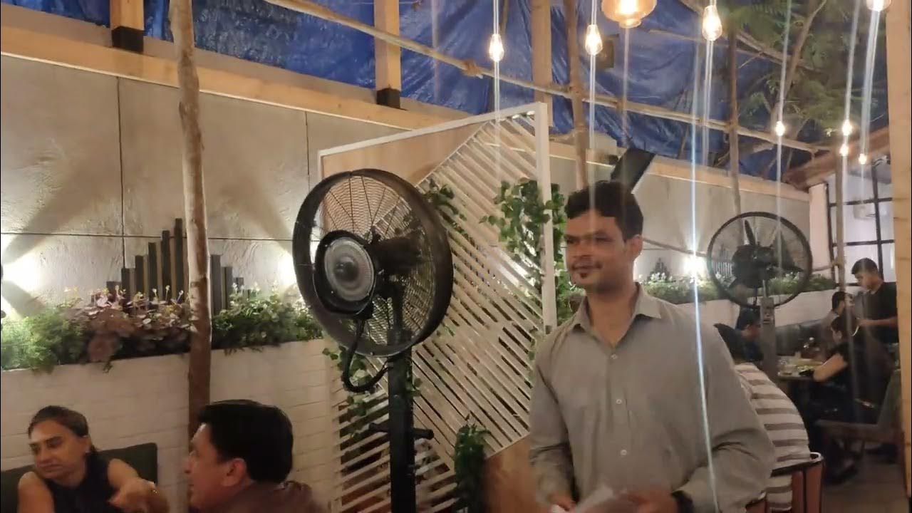 Trunks And Leaves!! Iraniwadi No. 4, Kandivali (West). YouTube