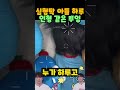 심형탁 아들 하루 인형 같은 뿌잉
