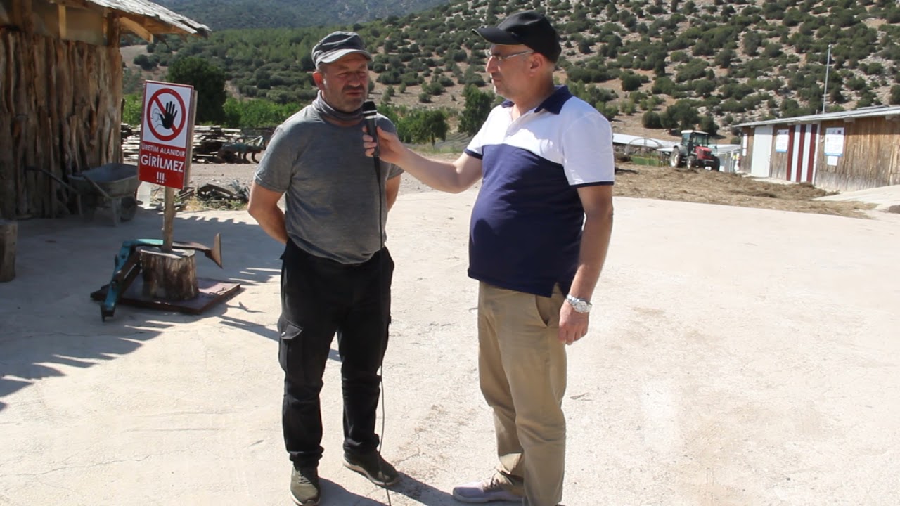 LİSİNİA, GERÇEK BİR DOĞA PROJESİ