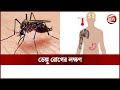 а Ўа а а Ќа а Ѓ а а Іа а Їа а ёа а Іа а Ќа а Ј а Єа Ќа а а ѕа а Єа а а а Єа ѕа а Dengue Symptoms Channel 24 а Ўа а а Ќа а Ѓ а а Іа а Їа а ёа а Іа а Ќа а Ј а Єа Ќа а а ѕа а Єа а а а Єа ѕа а Dengue Symptoms Channel 24