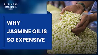 Why Jasmine Oil Is So Expensive | So Expensive screenshot 5