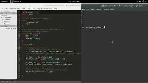 Go Golang pretty print JSON