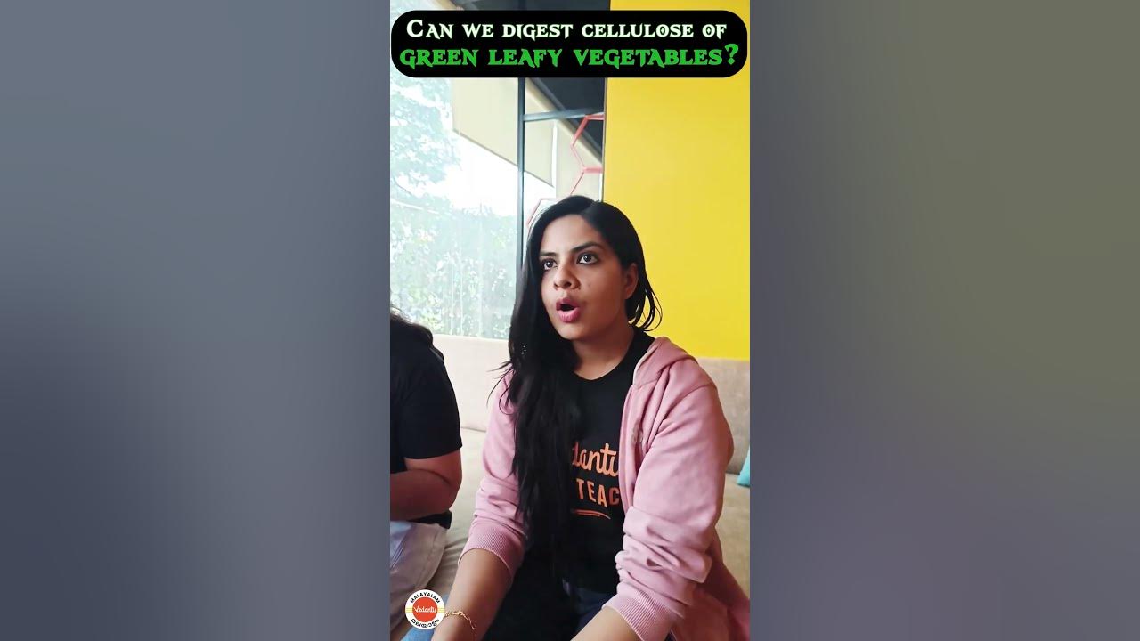 Can We Digest Cellulose Of Green Leafy Vegetables biology can-we-digest-cellulose-of-green-leafy-vegetables-biology