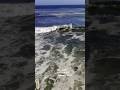 free surf PASTURES January 2022 #17