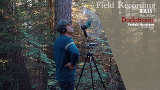 Nature Sounds field recording