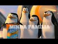 Minha Família | Os pinguins de Madagascar (filme) REFLEXÃO