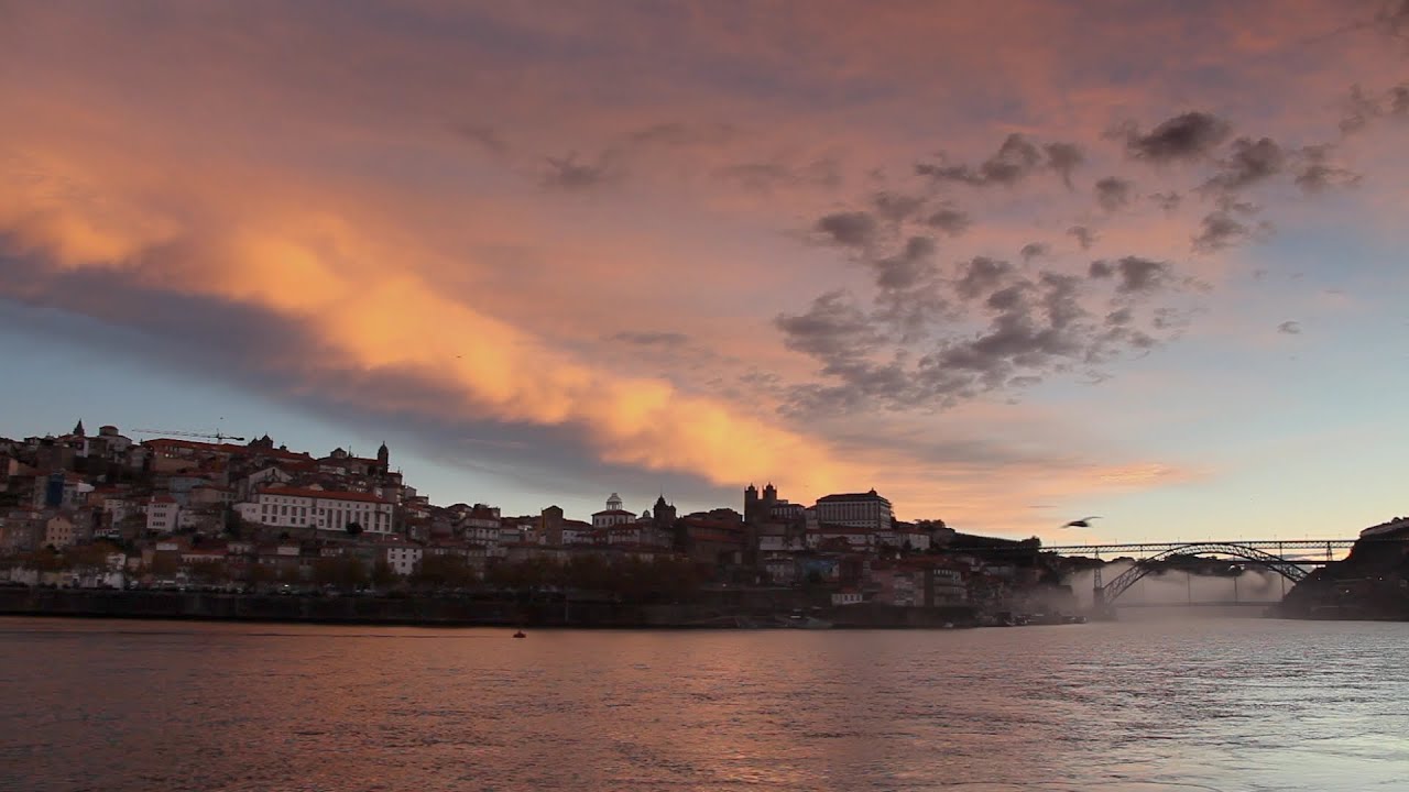 Other Waters | The McNamara Surf Trip