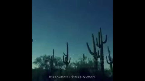 قران كريم- ارح سمعك وقلبك بكلام الله❤️