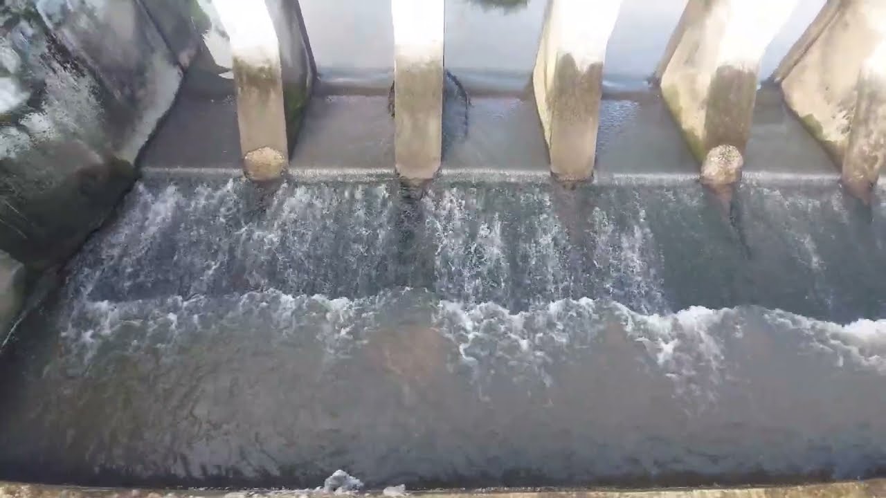 அணை நீர் வழிந்தோடுகிறது 🌊💦 | Dam Water Overflow | மழைக்கால அழகு 🌧️🤩 