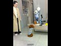 毛毛 老六是个小气鬼 狗子成精了 动物的迷惑行为 萌宠好物 狗粮推荐 宠物泰迪 泰迪狗狗 萌宠视频 毛毛 老六是个小气鬼 狗子成精了 动物的迷惑行为 萌宠好物 狗粮推荐 宠物泰迪 泰迪狗狗 萌宠视频