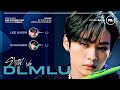 Stray Kids —  DLMLU (Don&#39;t Let Me Love You) | Line Distribution • MinLeo