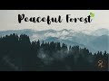 Peaceful Forest - Sam Lewis!