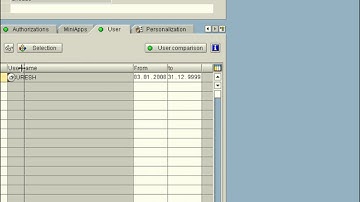 SAP Role Creation in PFCG