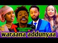 Hanagatu Fi Masarti Dhaaba Wol Fixaan 