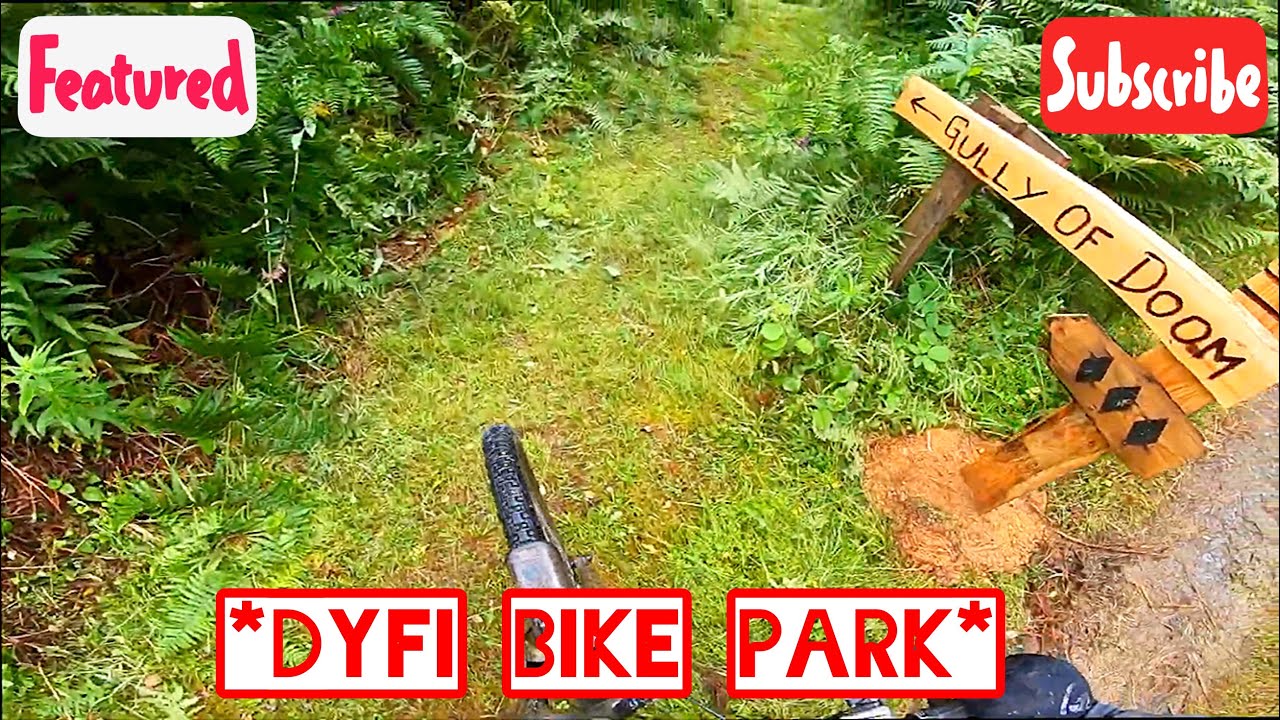 dyfi bike park location
