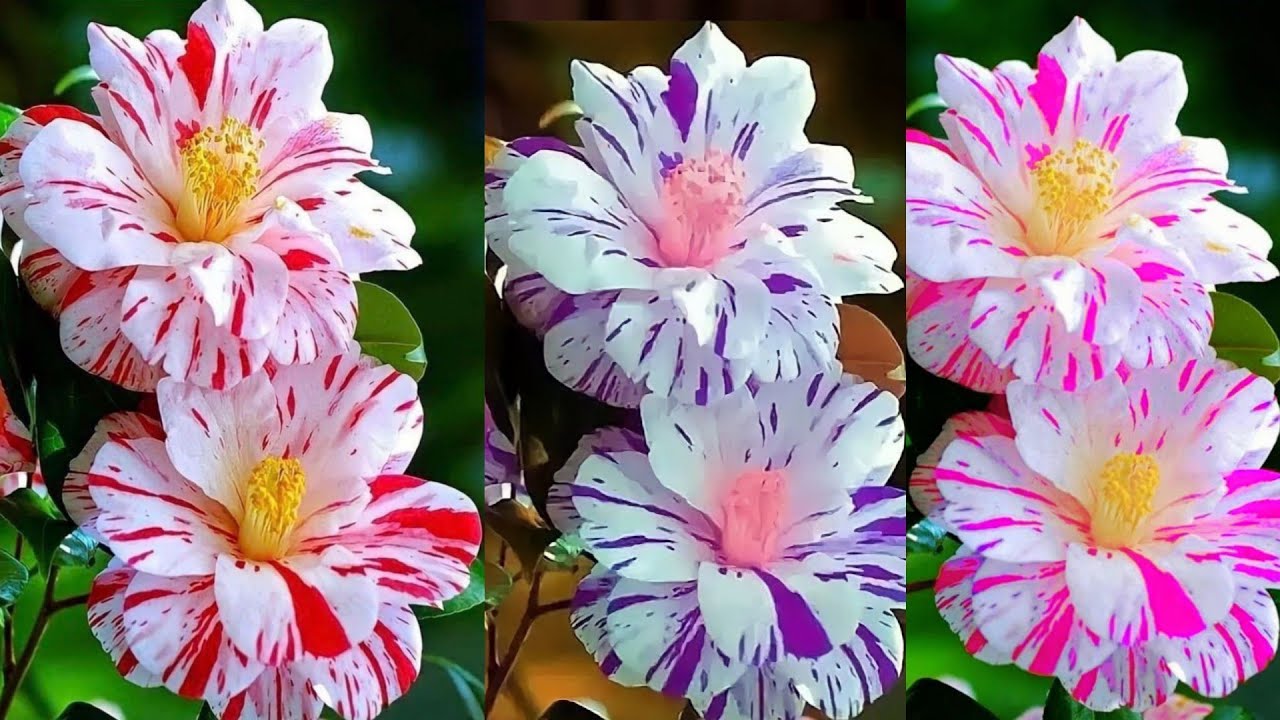 Как сделать розы из полиэтиленовых пакетов - идеи цветочных поделок