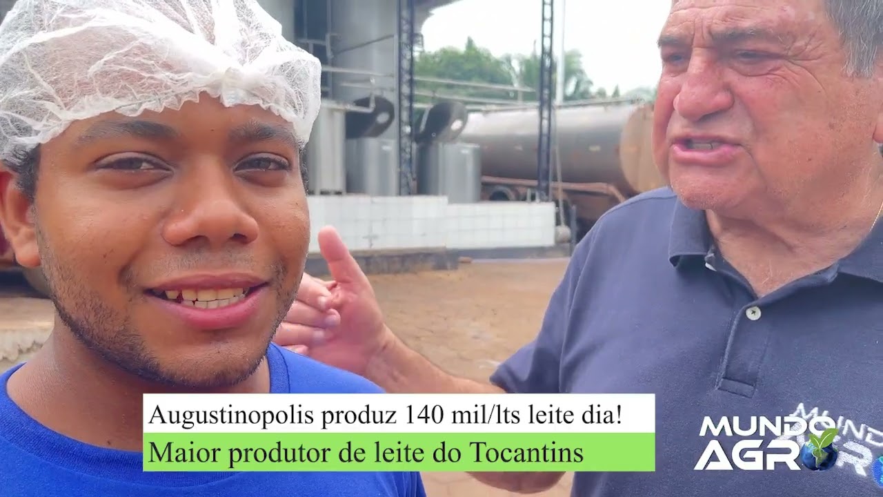 Augustinopolis produz 140 mil/lts leite dia! Maior produtor de leite do TO