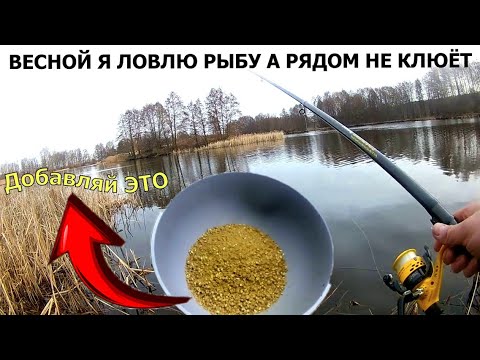 Добавил в тесто и Тягай Рыбу.Рыболовная насадка по всей рыбе